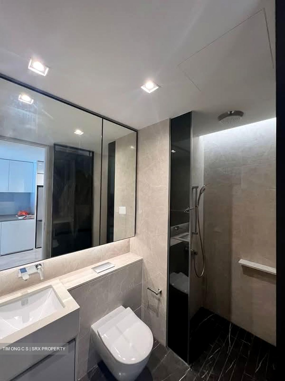 Amber Park (D15), Condominium #574677761
